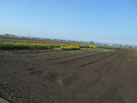 f:id:iirei:20180326001905j:image f:id:iirei:20180326001905j:image