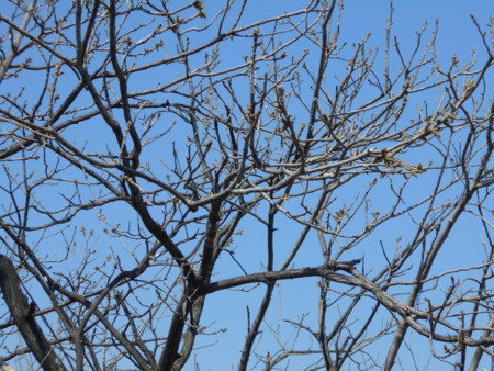 f:id:iirei:20180326002435j:image f:id:iirei:20180326002435j:image