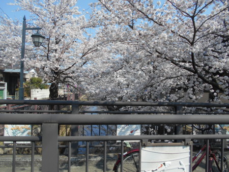 f:id:iirei:20180401002651j:image f:id:iirei:20180401002651j:image