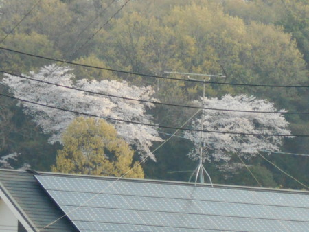 f:id:iirei:20180401072441j:image f:id:iirei:20180401072441j:image