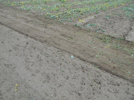 f:id:iirei:20180419002123j:image f:id:iirei:20180419002123j:image