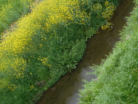 f:id:iirei:20180419002317j:image f:id:iirei:20180419002317j:image