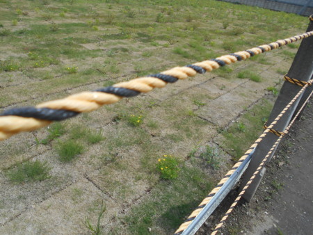 f:id:iirei:20180513053609j:image