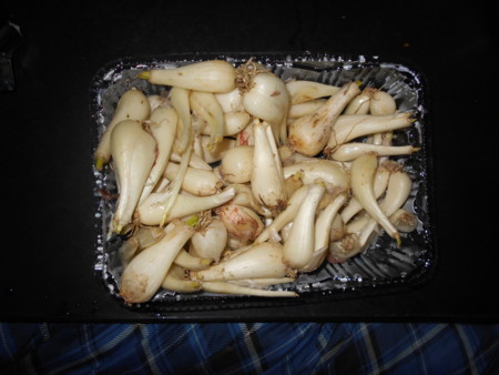 f:id:iirei:20180519042020j:image f:id:iirei:20180519042020j:image