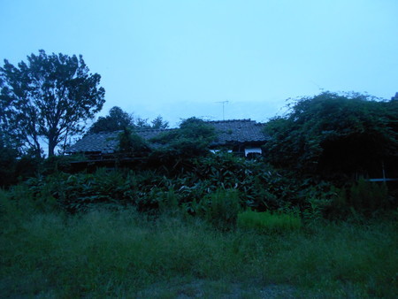 f:id:iirei:20180915060701j:image