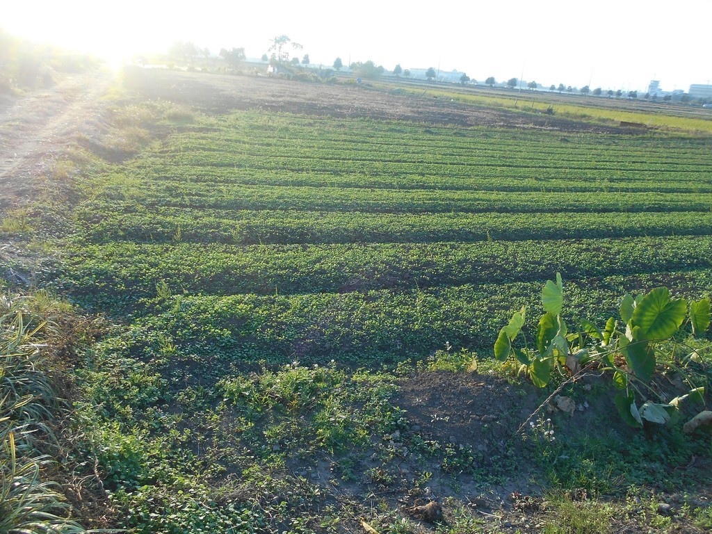 f:id:iirei:20181108001313j:plain f:id:iirei:20181108001313j:plain