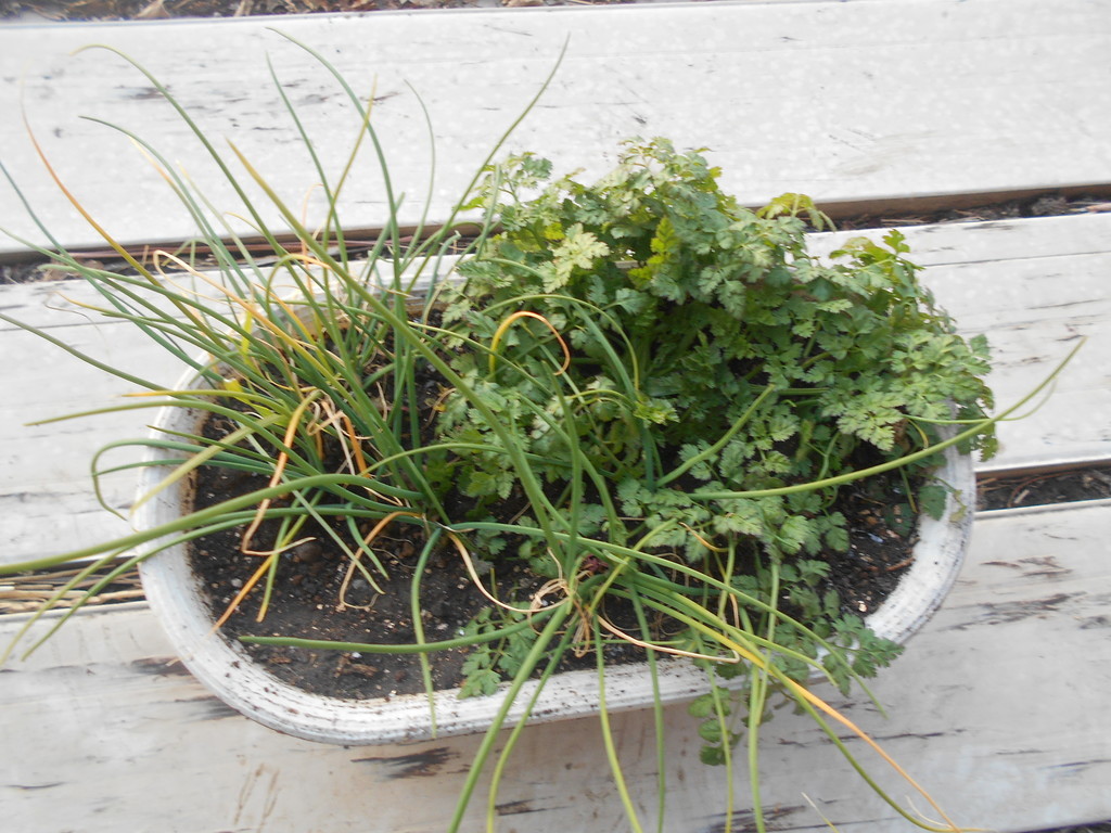 f:id:iirei:20190119053812j:plain f:id:iirei:20190119053812j:plain