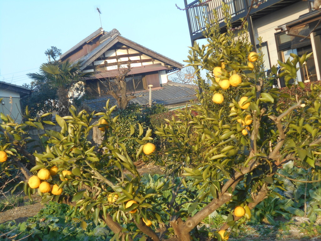 f:id:iirei:20190119054058j:plain f:id:iirei:20190119054058j:plain