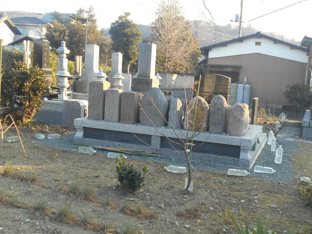 f:id:iirei:20190119054152j:plain f:id:iirei:20190119054152j:plain