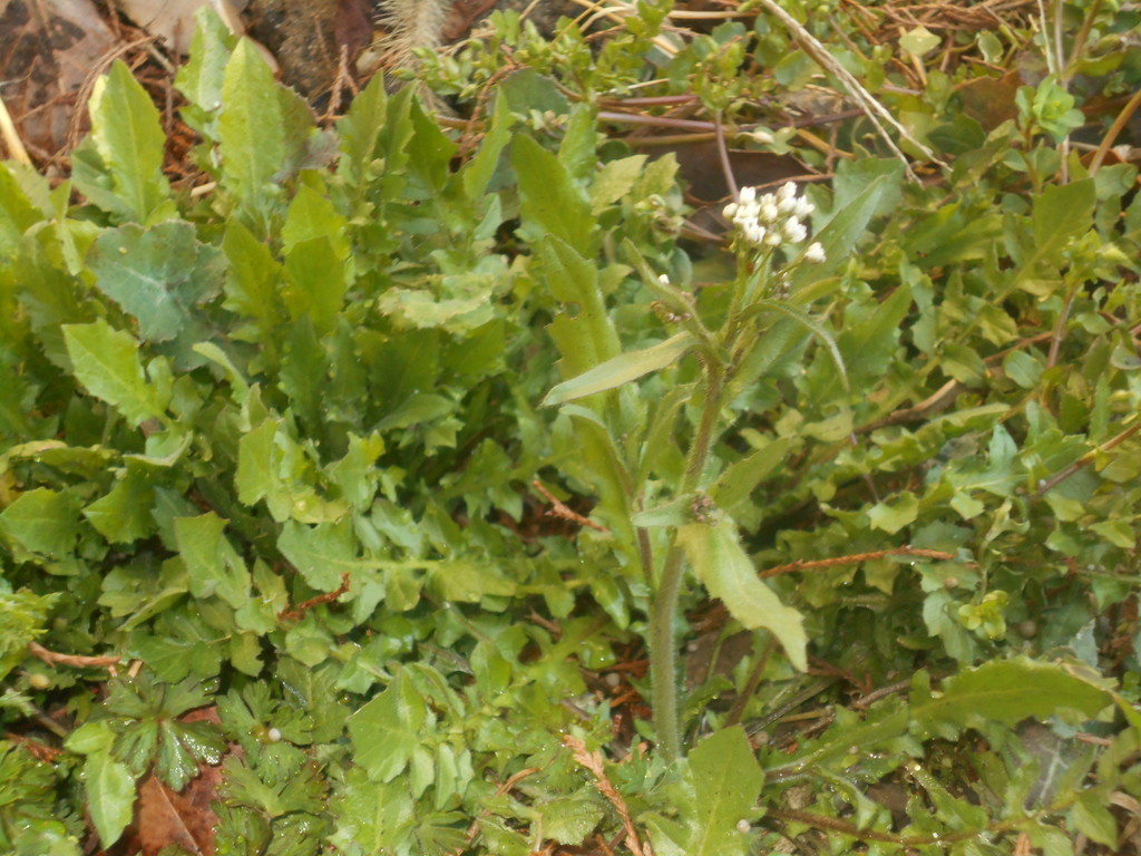 f:id:iirei:20190313215937j:plain f:id:iirei:20190313215937j:plain