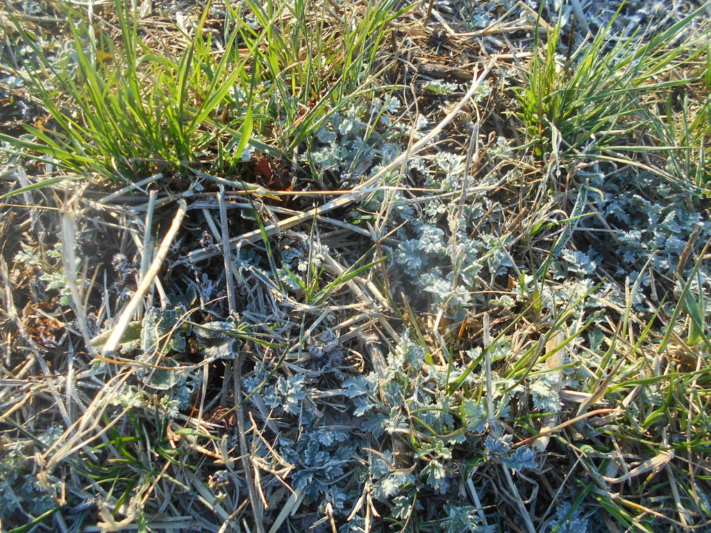 f:id:iirei:20190313220120j:plain f:id:iirei:20190313220120j:plain