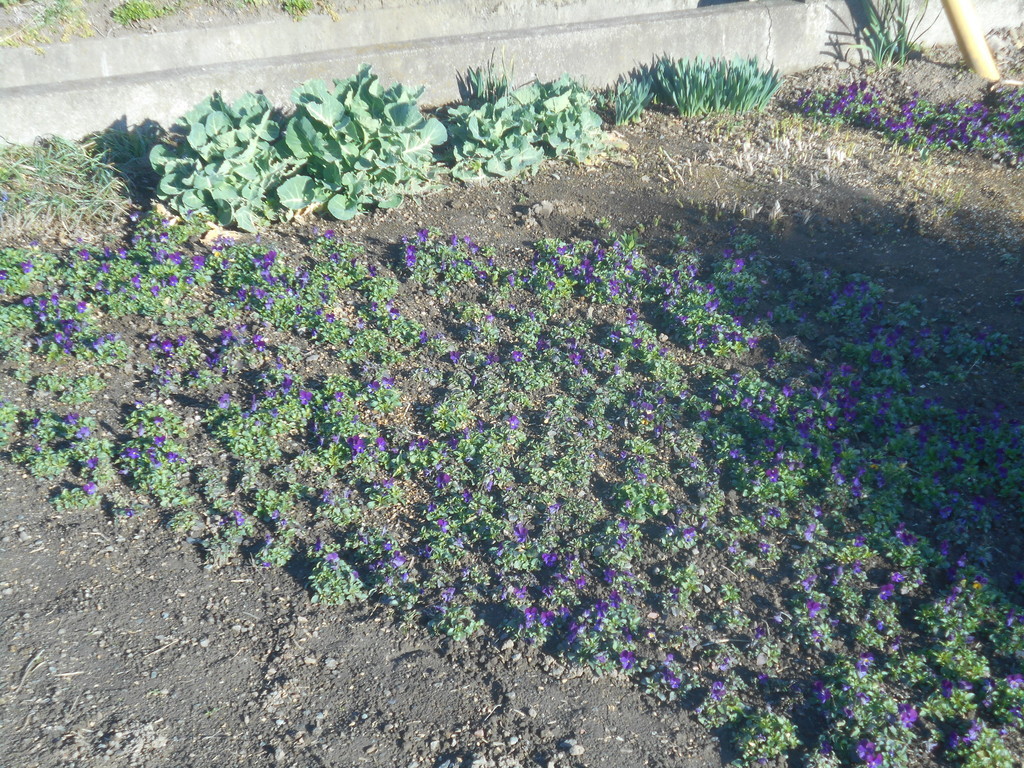 f:id:iirei:20190313220301j:plain f:id:iirei:20190313220301j:plain