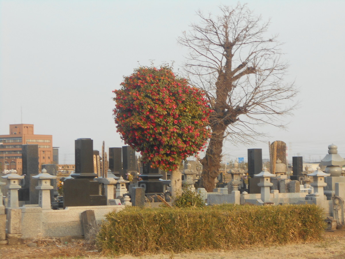 f:id:iirei:20190413001427j:plain f:id:iirei:20190413001427j:plain