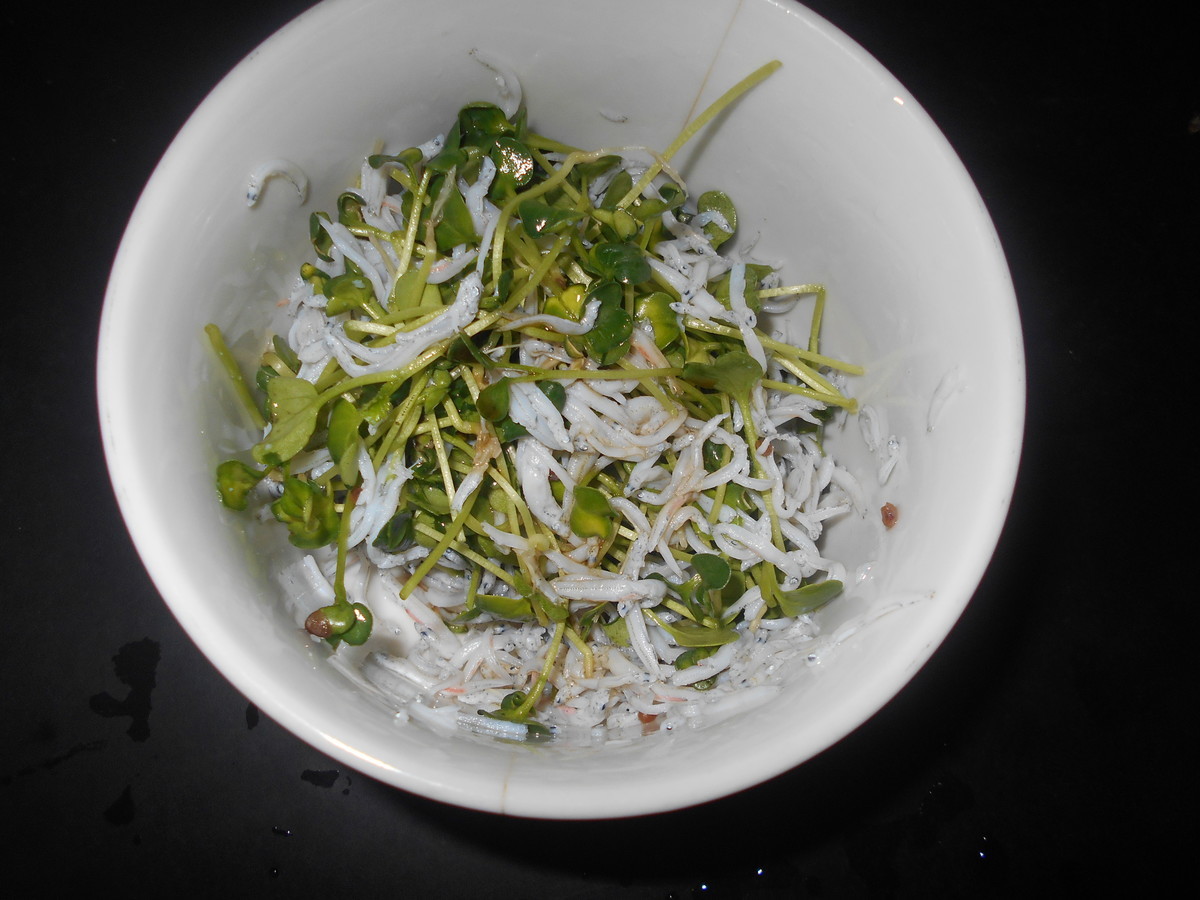 f:id:iirei:20190605161225j:plain