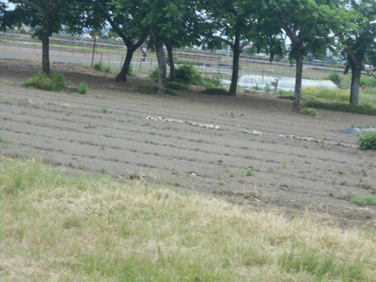 f:id:iirei:20190605161456j:plain