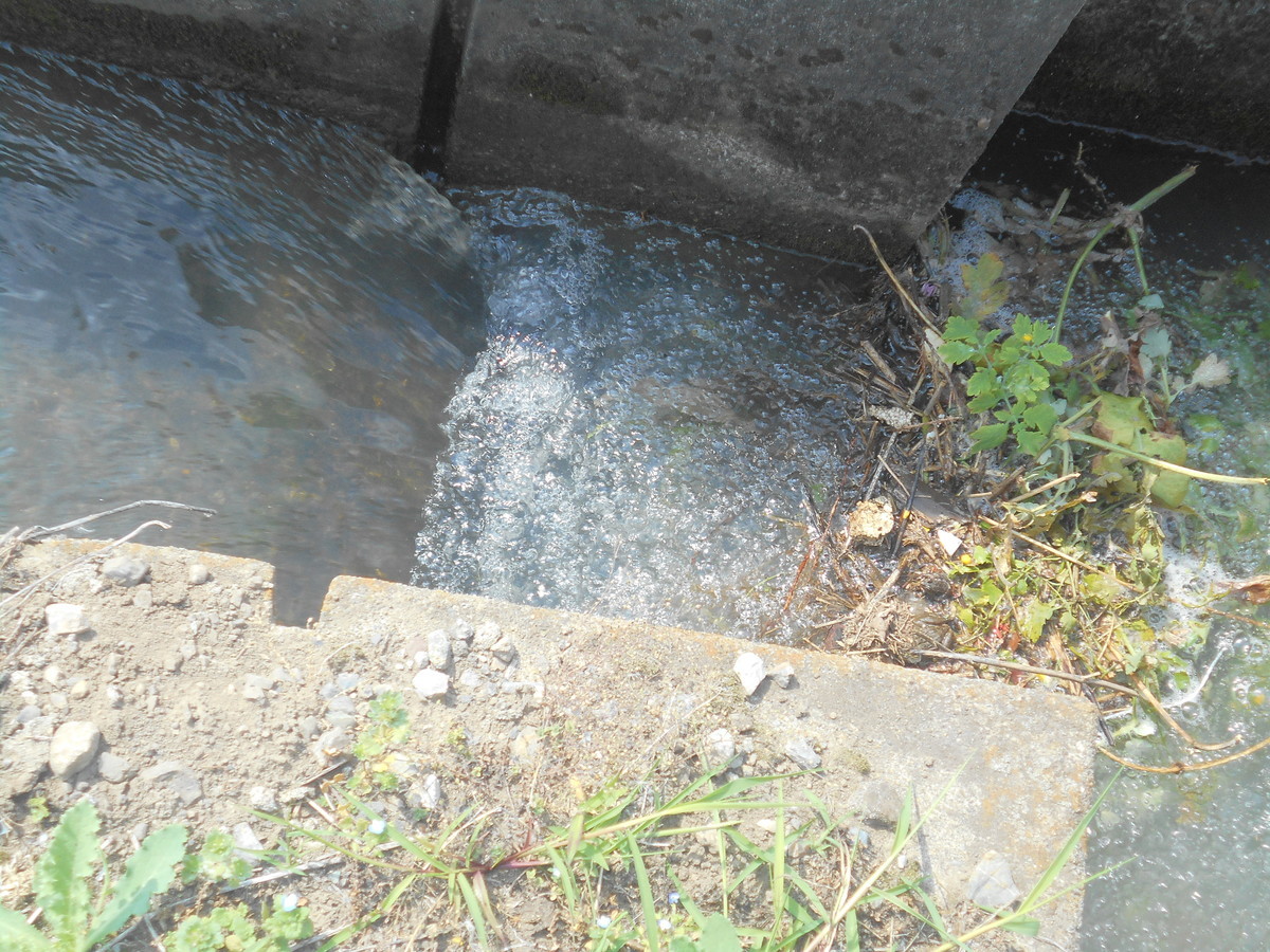 f:id:iirei:20190605161548j:plain