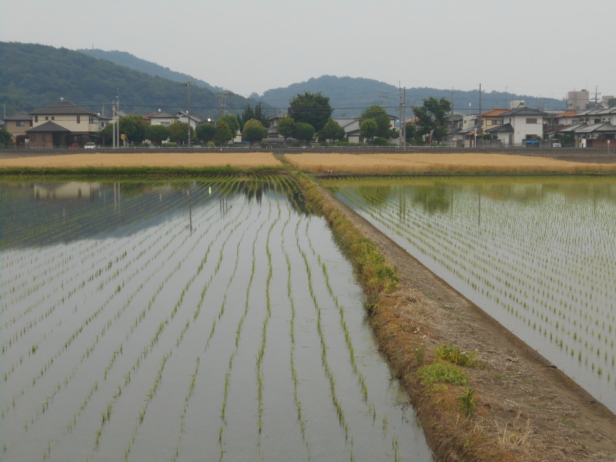 f:id:iirei:20190605161631j:plain