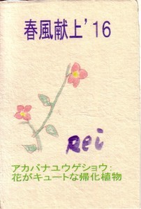 f:id:iirei:20190611053349j:plain