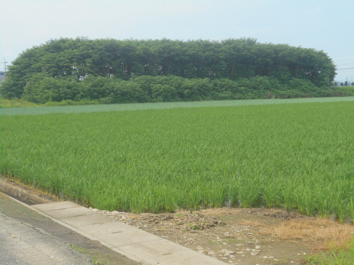 f:id:iirei:20190723044907j:plain f:id:iirei:20190723044907j:plain