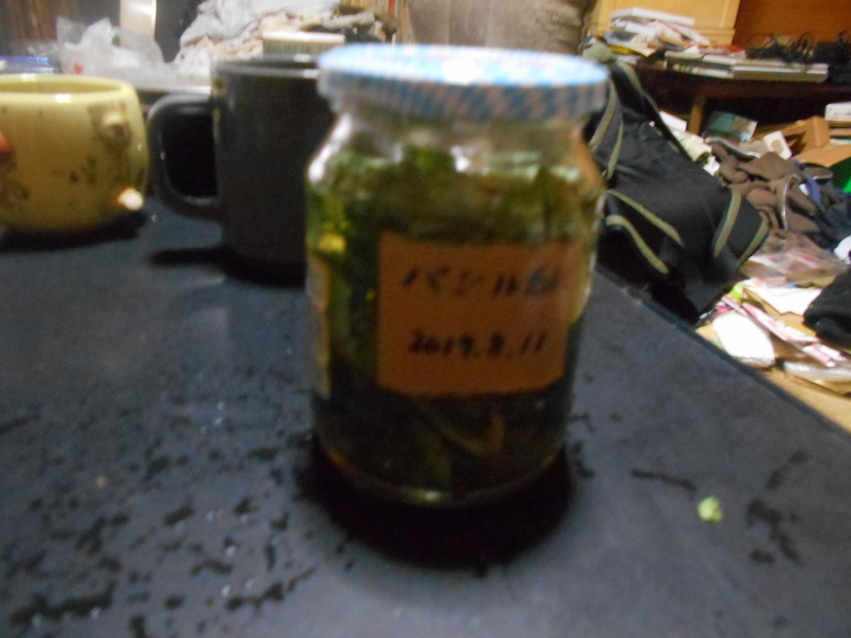 f:id:iirei:20190816161752j:plain f:id:iirei:20190816161752j:plain