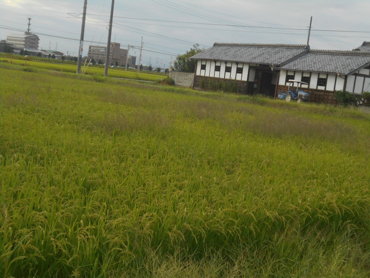 f:id:iirei:20190921042609j:plain f:id:iirei:20190921042609j:plain