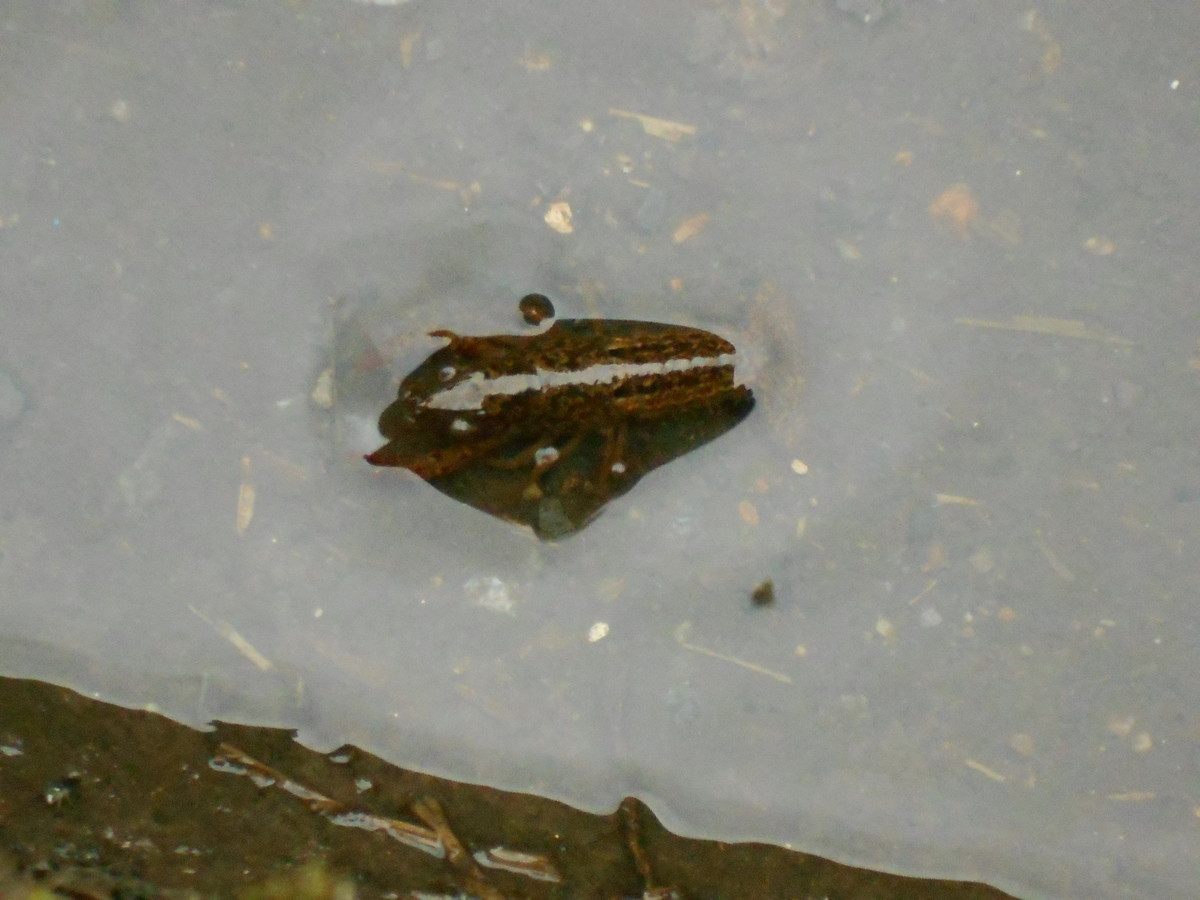 f:id:iirei:20191009165137j:plain f:id:iirei:20191009165137j:plain