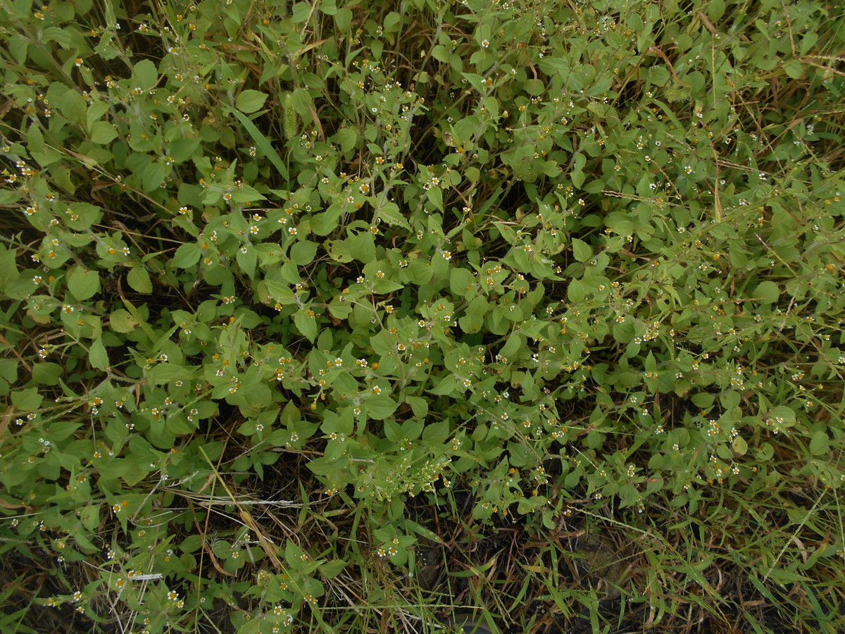 f:id:iirei:20191009165231j:plain f:id:iirei:20191009165231j:plain