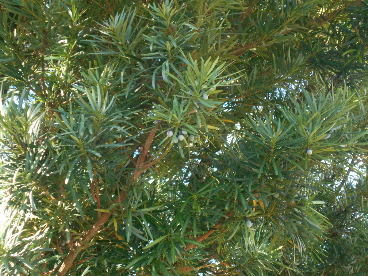 f:id:iirei:20191027065532j:plain f:id:iirei:20191027065532j:plain