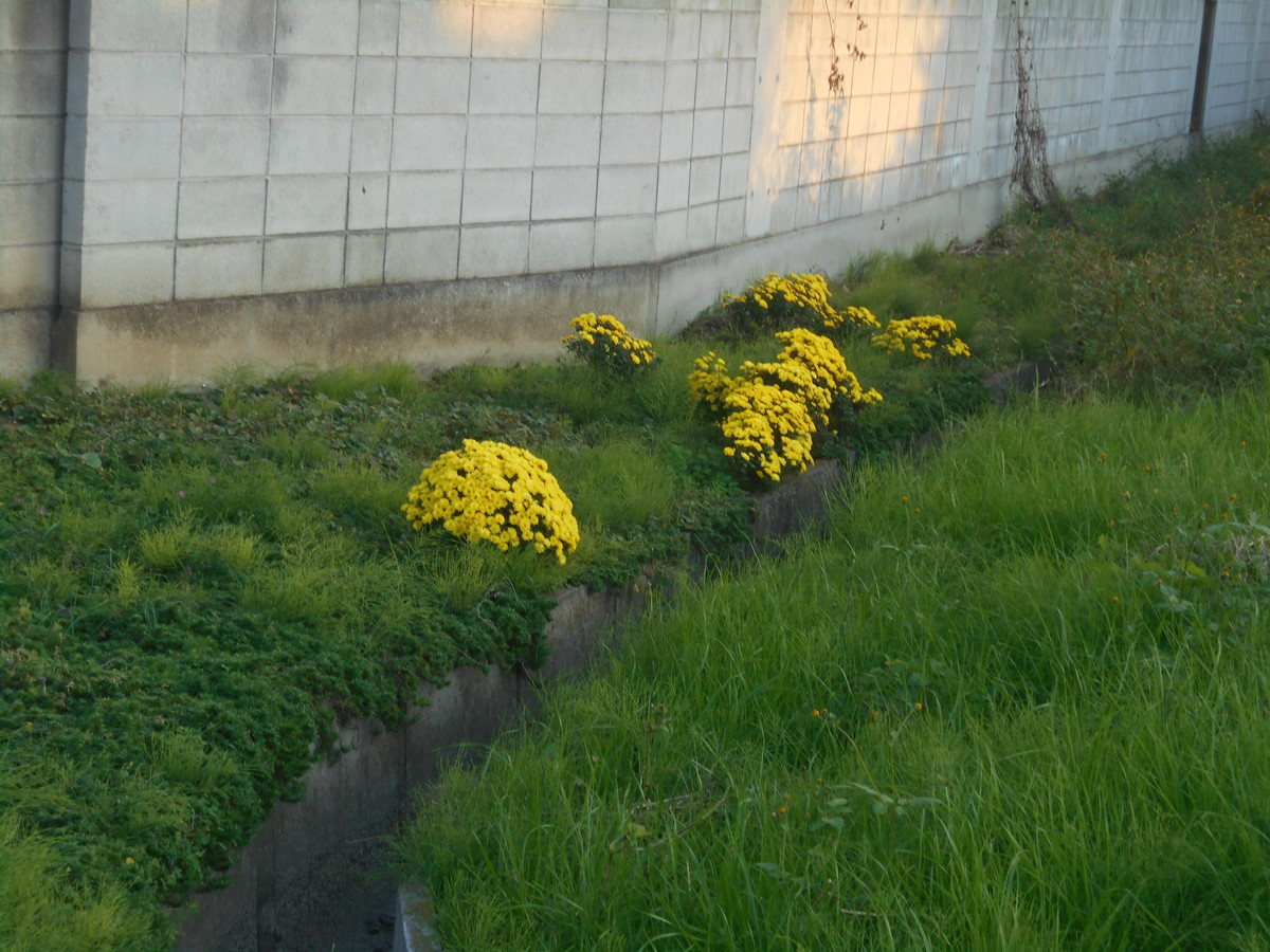 f:id:iirei:20191108162741j:plain f:id:iirei:20191108162741j:plain