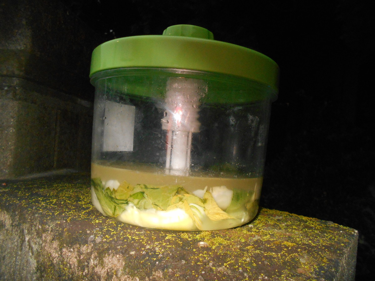 f:id:iirei:20191202161032j:plain f:id:iirei:20191202161032j:plain