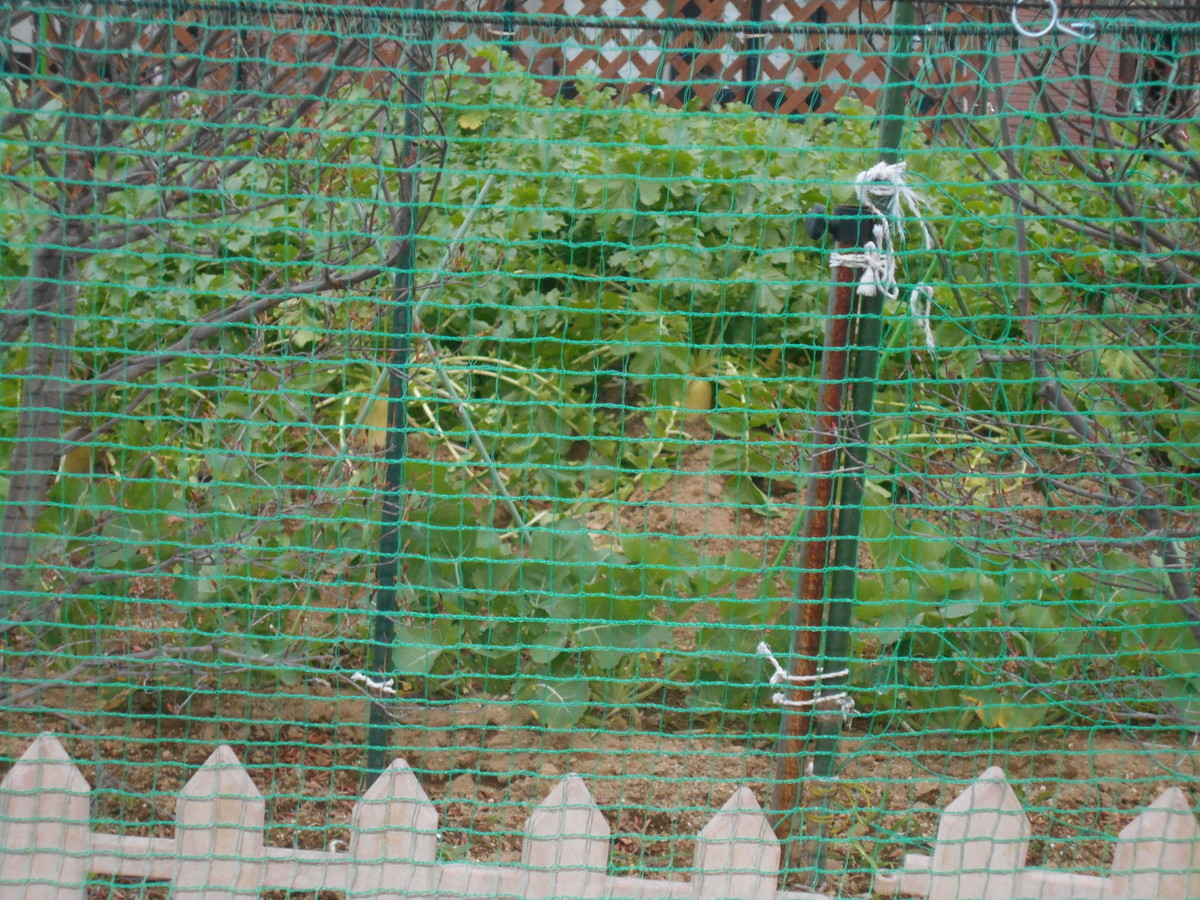 f:id:iirei:20191214051217j:plain f:id:iirei:20191214051217j:plain