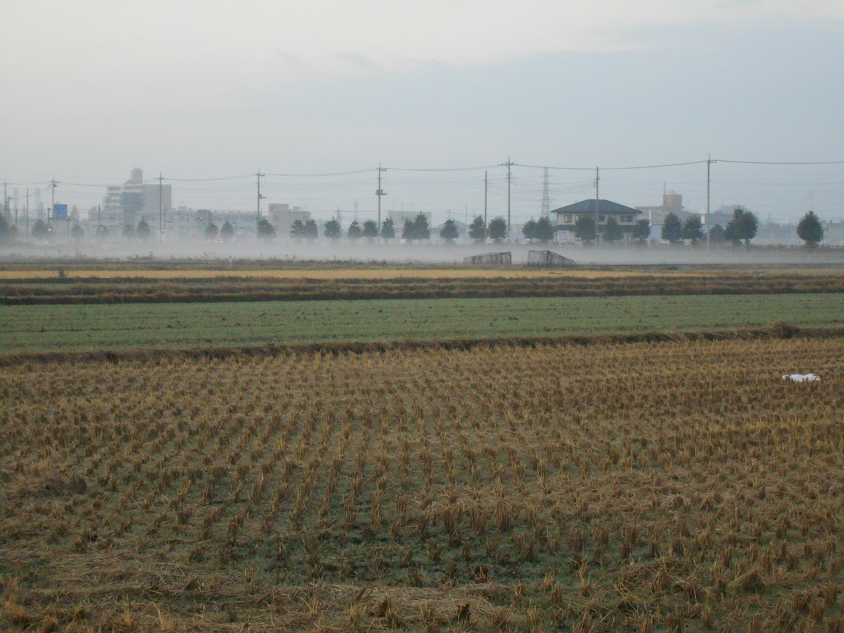 f:id:iirei:20191214051337j:plain f:id:iirei:20191214051337j:plain