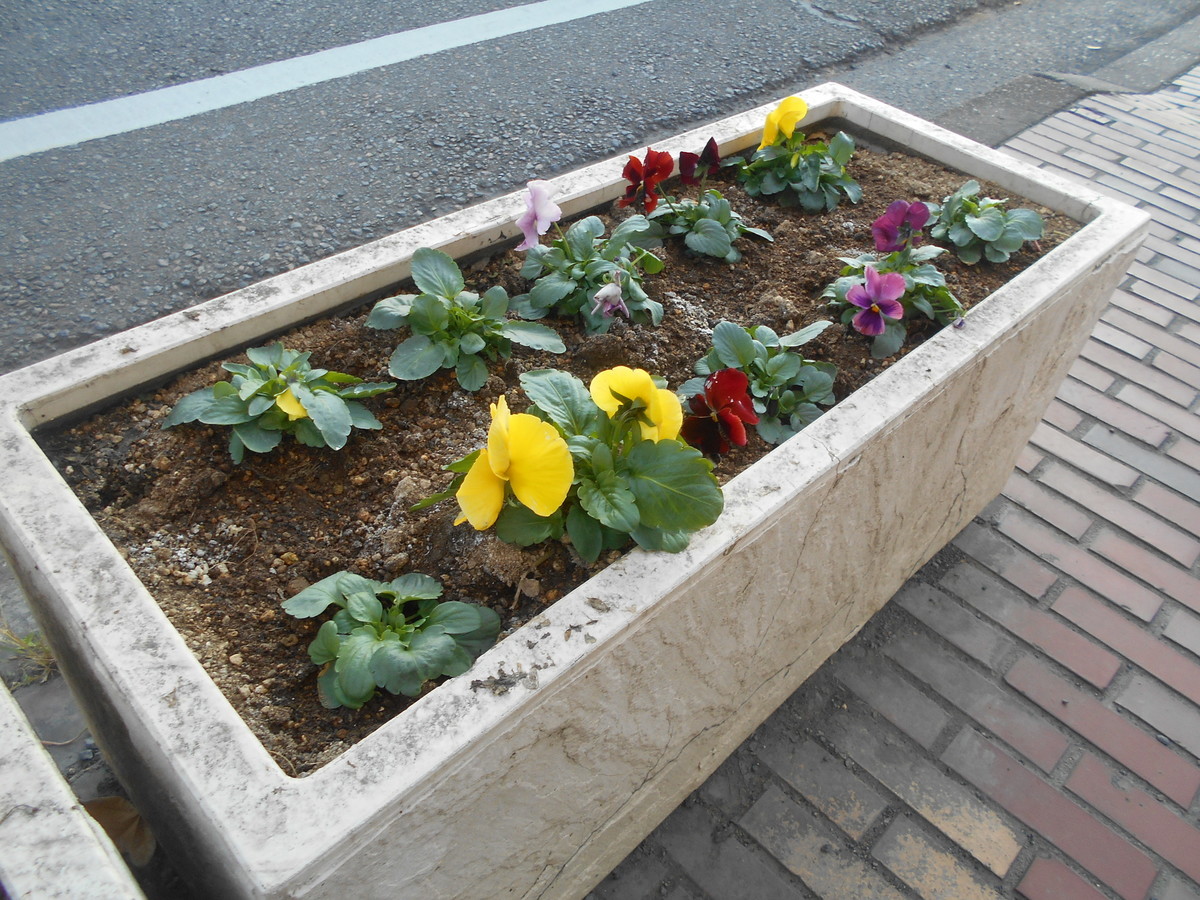 f:id:iirei:20191220052252j:plain f:id:iirei:20191220052252j:plain