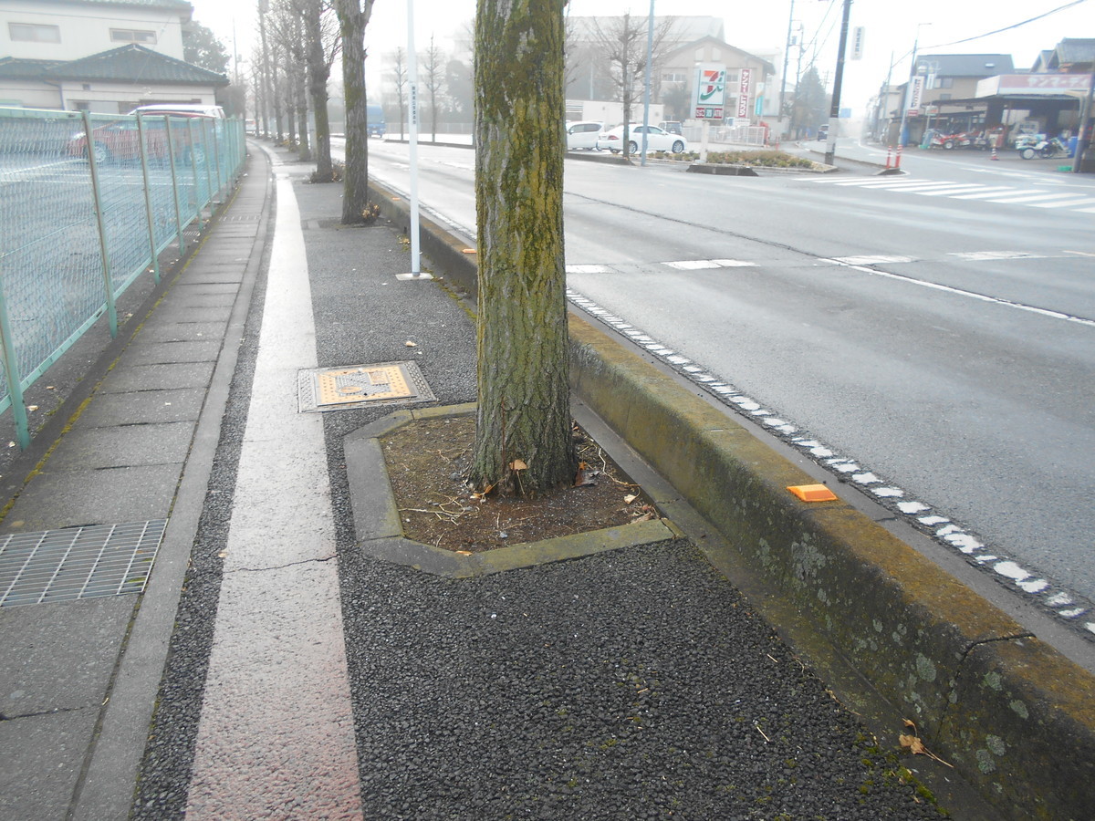 f:id:iirei:20191220052344j:plain f:id:iirei:20191220052344j:plain