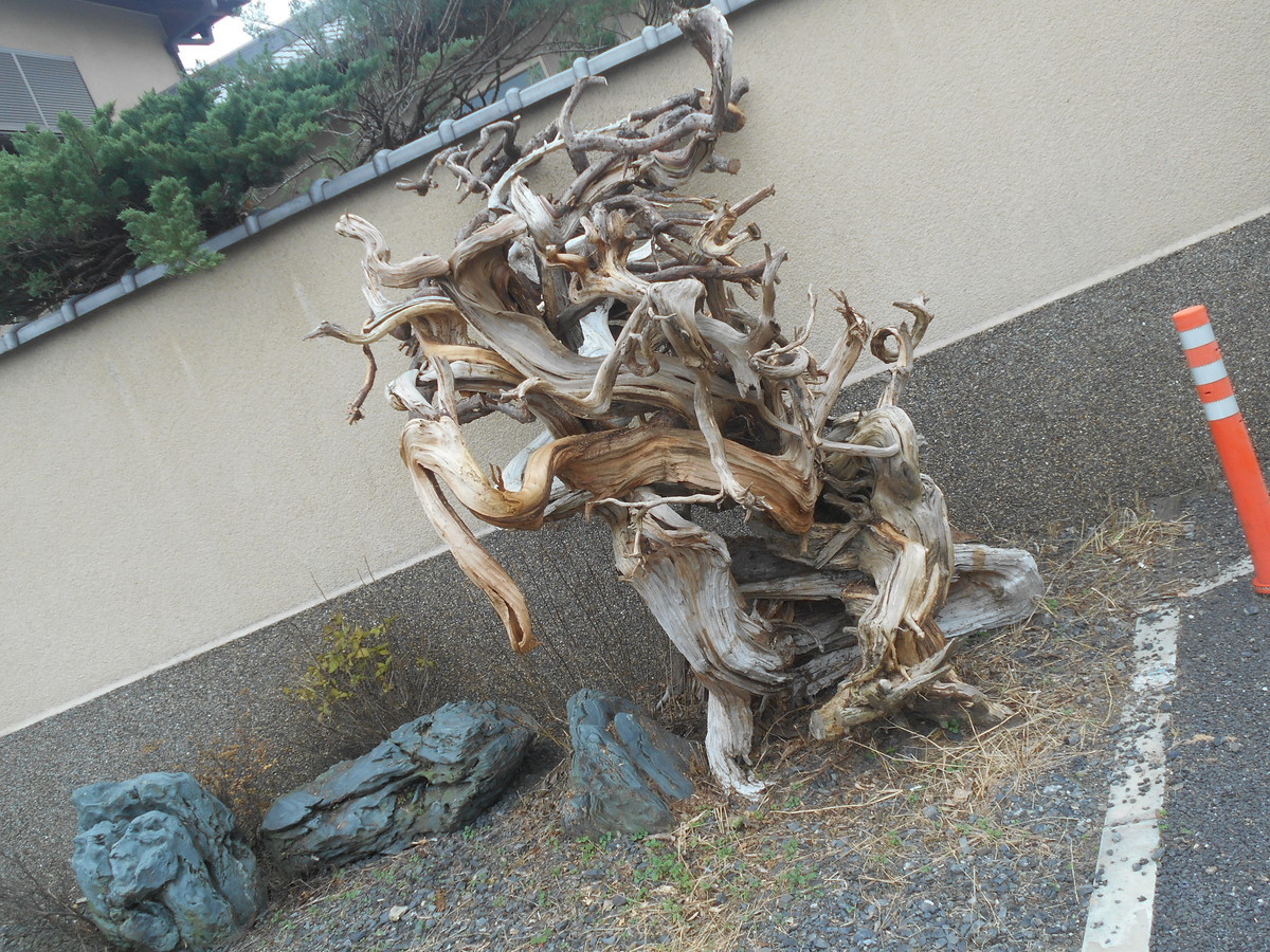 f:id:iirei:20191226155801j:plain