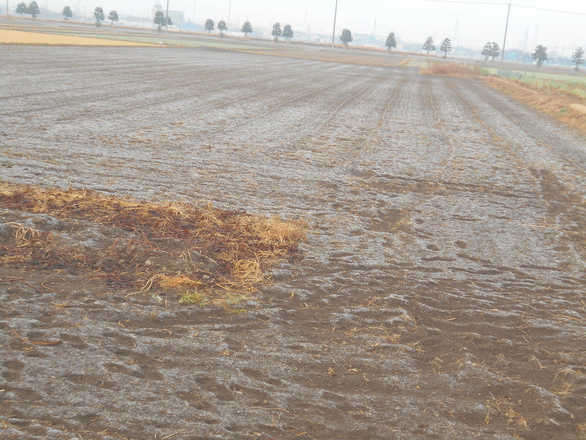 f:id:iirei:20191226155854j:plain