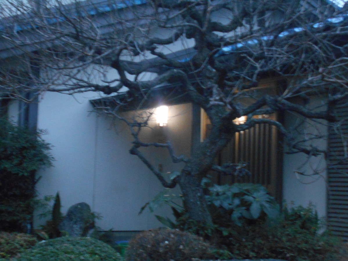 f:id:iirei:20200125140959j:plain