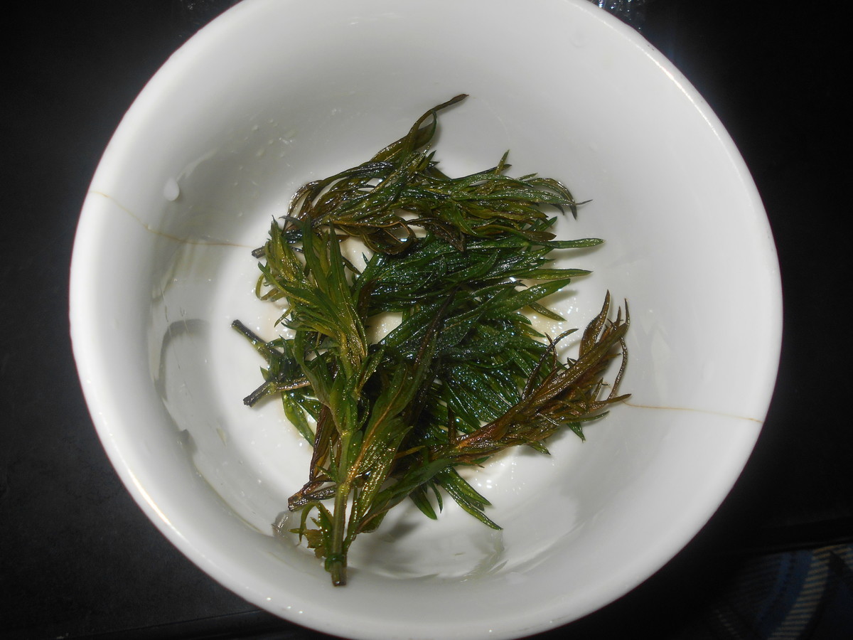 f:id:iirei:20200414030048j:plain f:id:iirei:20200414030048j:plain