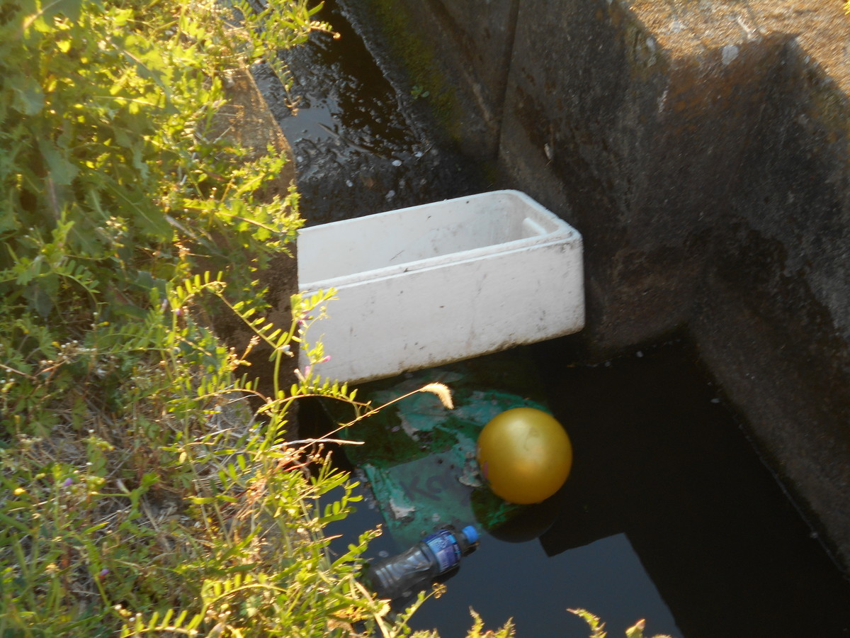 f:id:iirei:20200414030758j:plain f:id:iirei:20200414030758j:plain