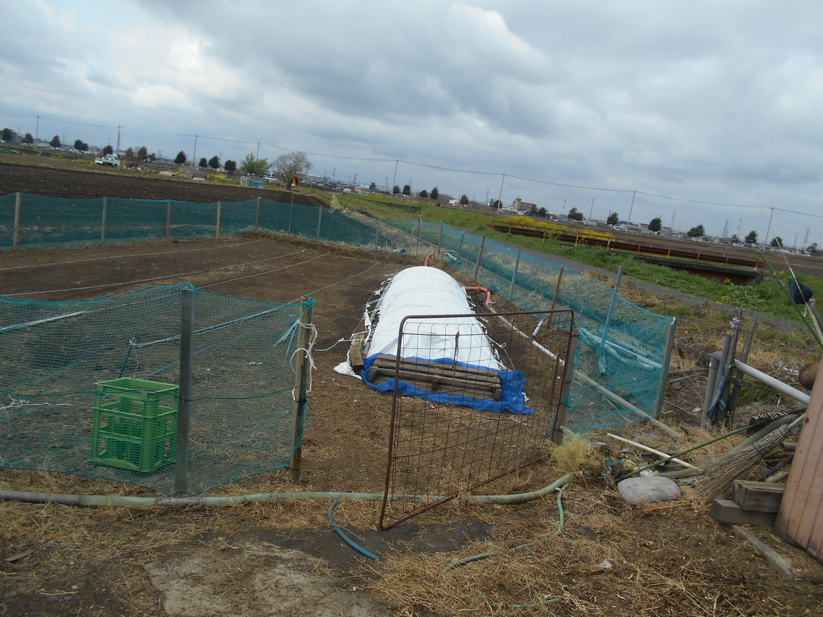 f:id:iirei:20200414030850j:plain f:id:iirei:20200414030850j:plain