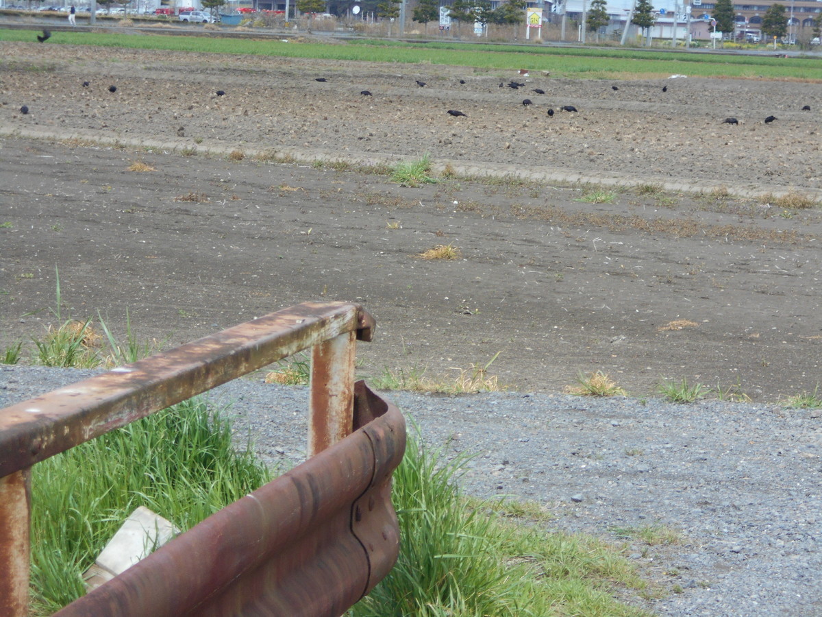 f:id:iirei:20200414031010j:plain f:id:iirei:20200414031010j:plain