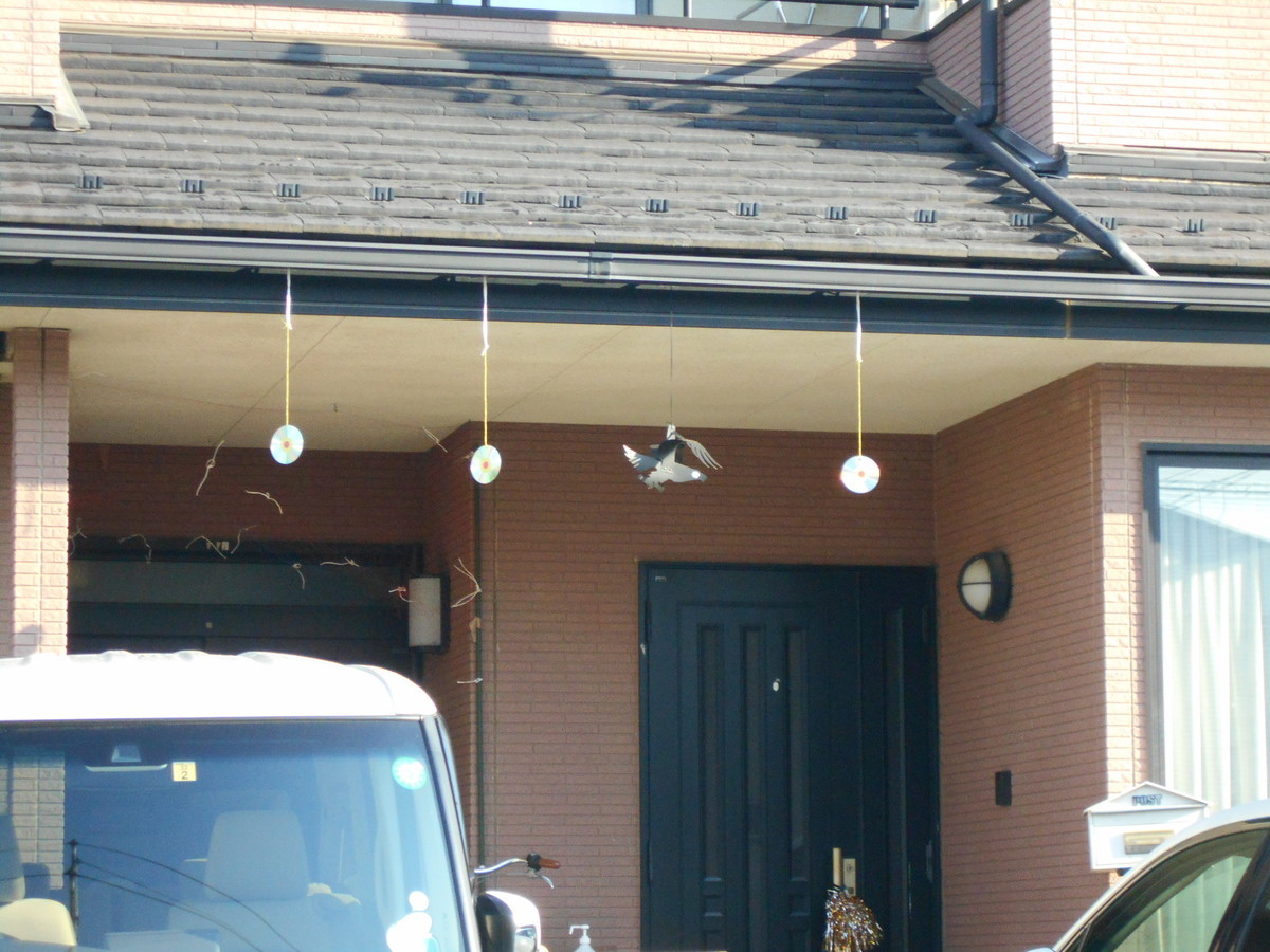 f:id:iirei:20200502001720j:plain f:id:iirei:20200502001720j:plain