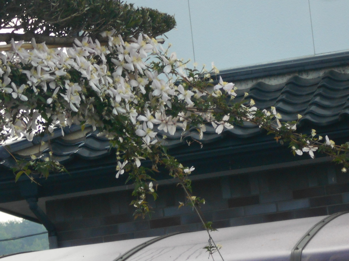 f:id:iirei:20200502002210j:plain f:id:iirei:20200502002210j:plain