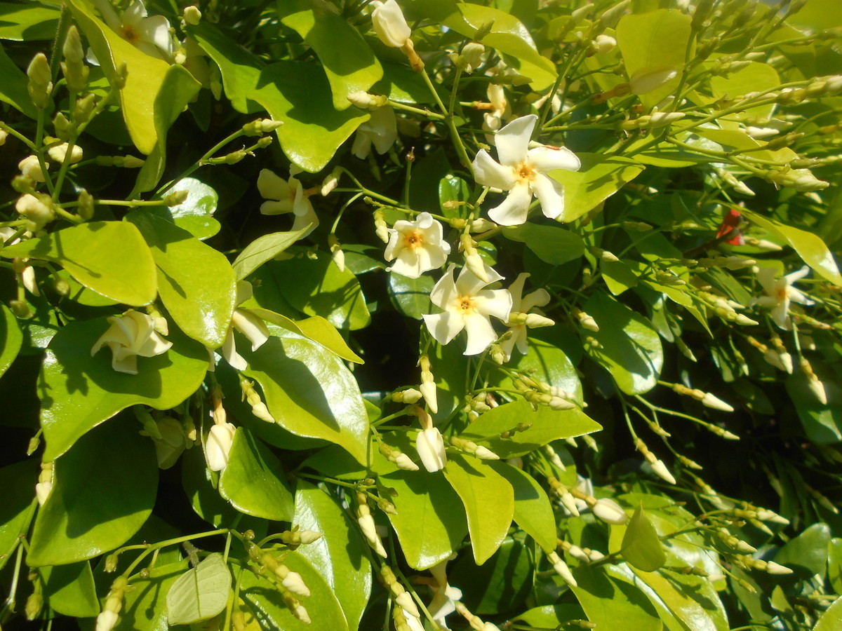 f:id:iirei:20200613001332j:plain