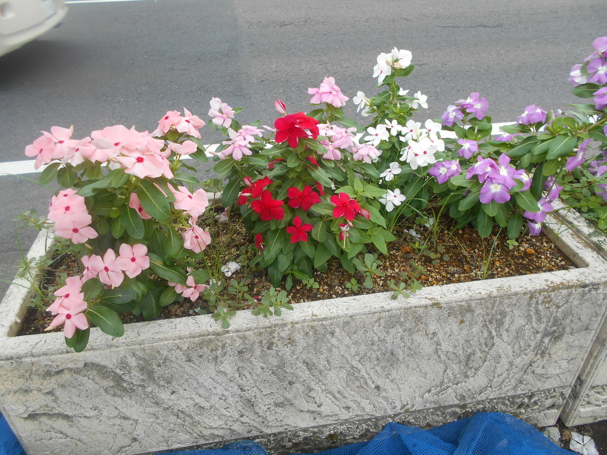 f:id:iirei:20200613001418j:plain