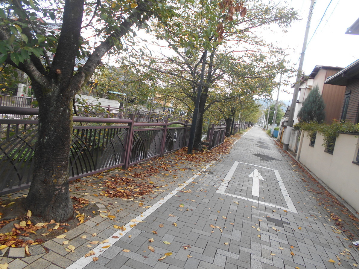 f:id:iirei:20200905055707j:plain f:id:iirei:20200905055707j:plain