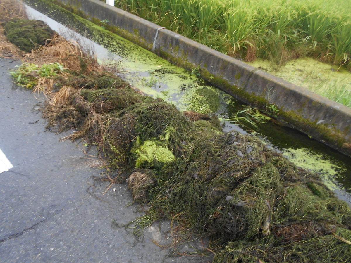 f:id:iirei:20200905055845j:plain f:id:iirei:20200905055845j:plain