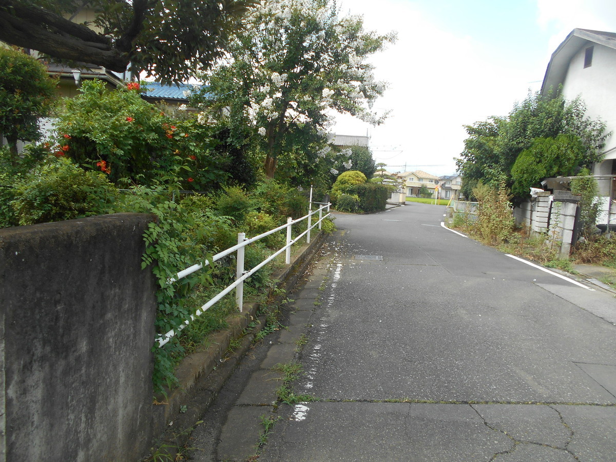 f:id:iirei:20200905060036j:plain f:id:iirei:20200905060036j:plain