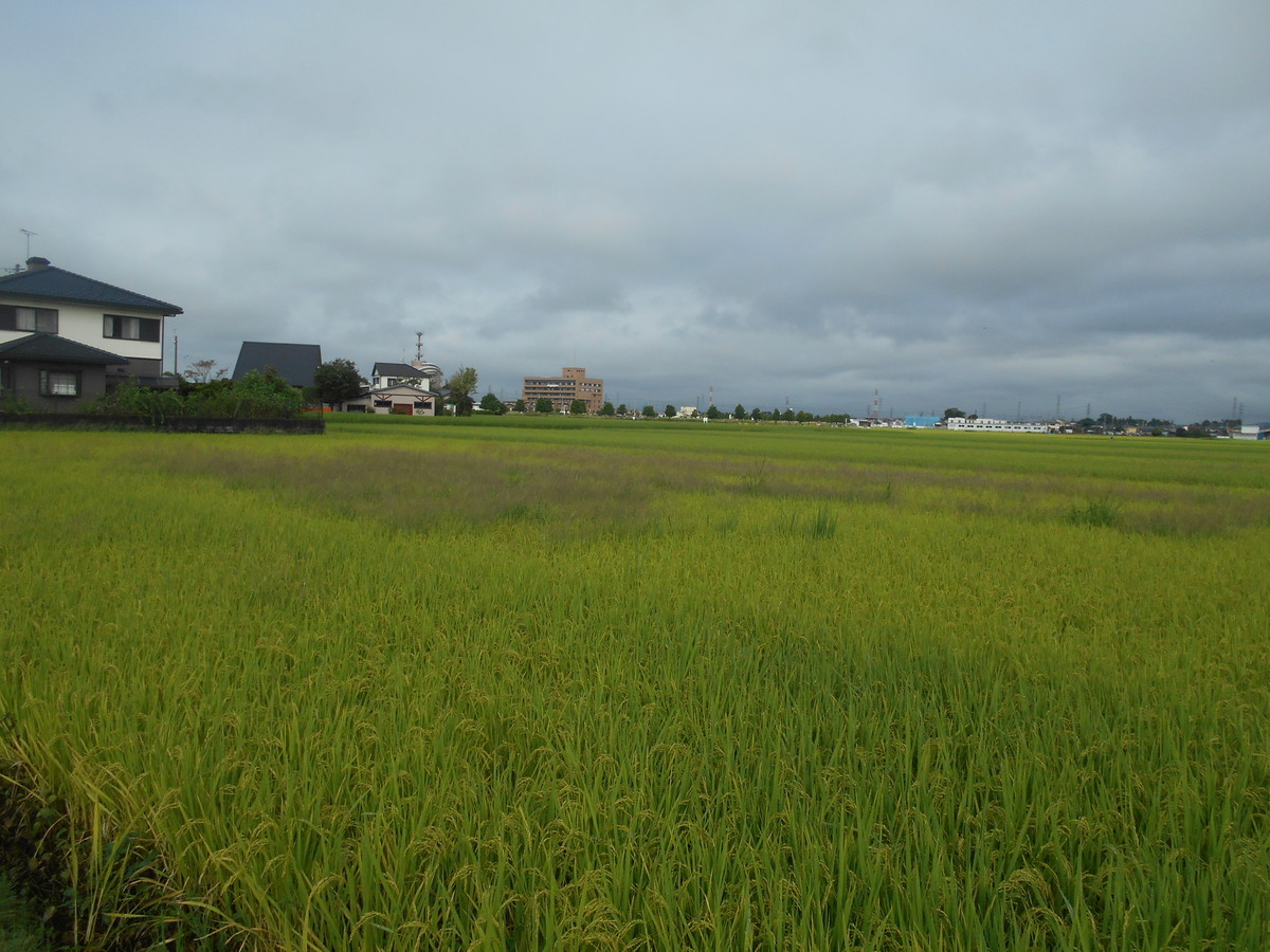 f:id:iirei:20200919035303j:plain f:id:iirei:20200919035303j:plain