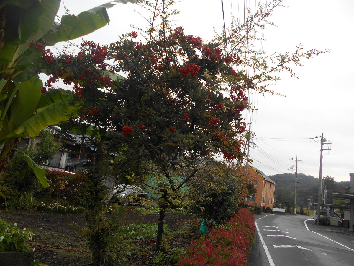 f:id:iirei:20201017000722j:plain